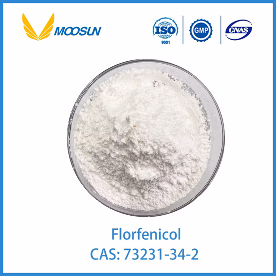 Poudre blanche soluble de florfénicol, matériau brut de qualité pharmaceutique, économique et pratique, avec un taux de dissolution élevé